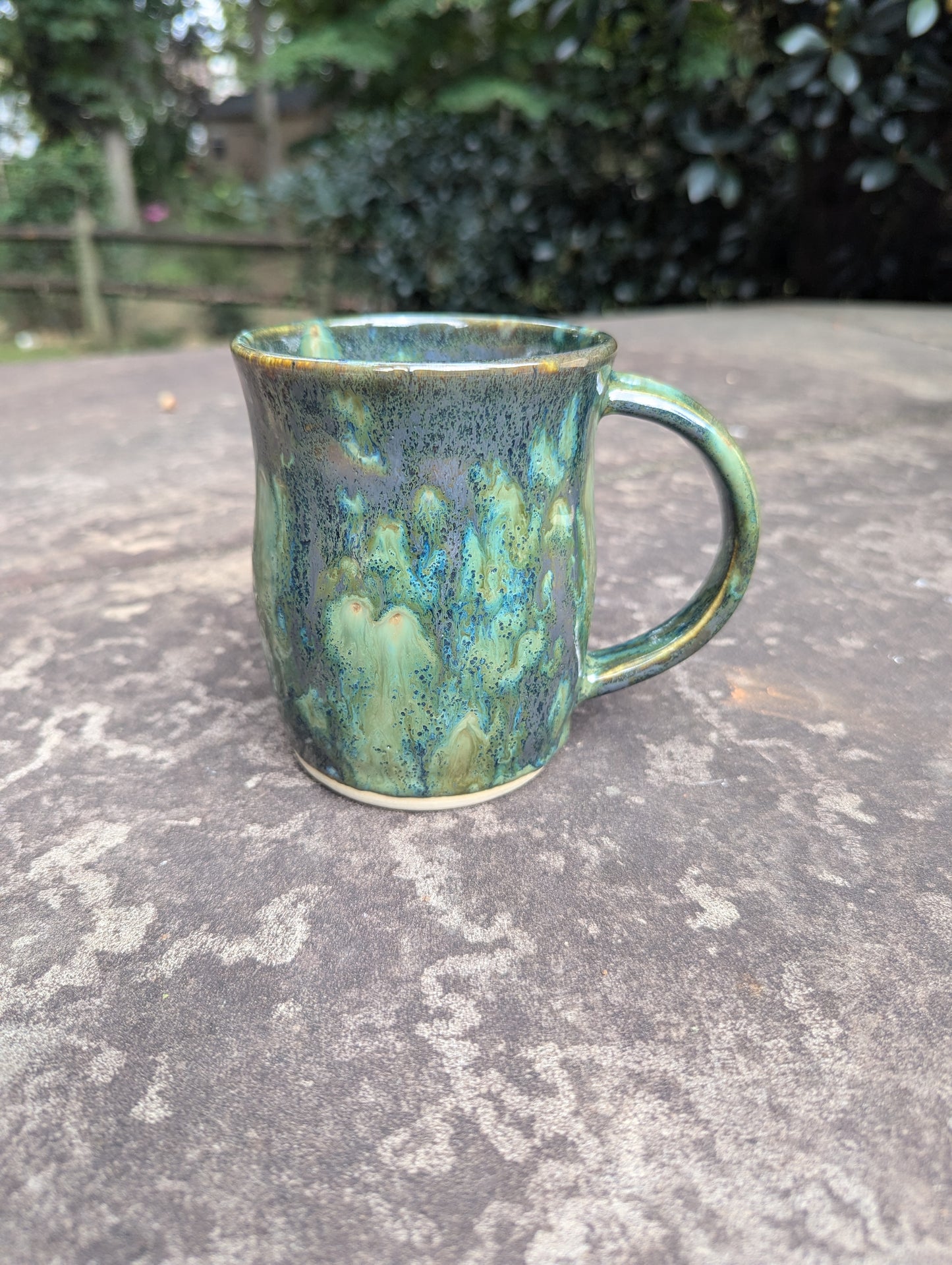 Black Cat Whiskers Mug